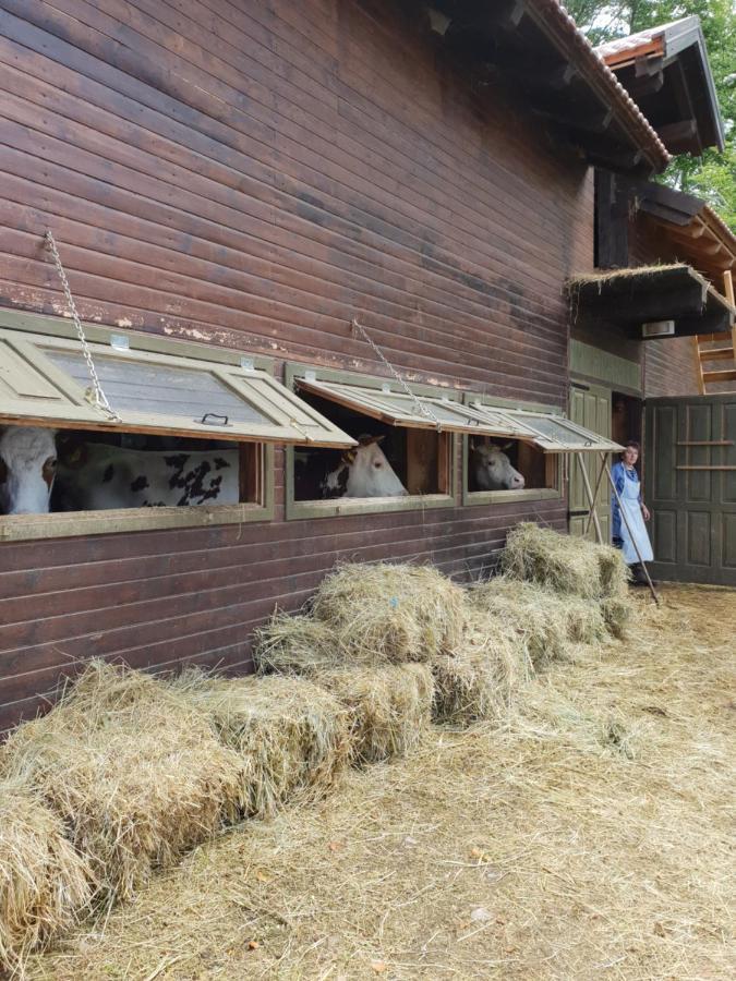 Modern Alpine Monsalbius Chalet Baske Ostarije المظهر الخارجي الصورة